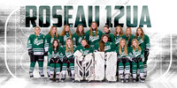 12U Girls Hockey
